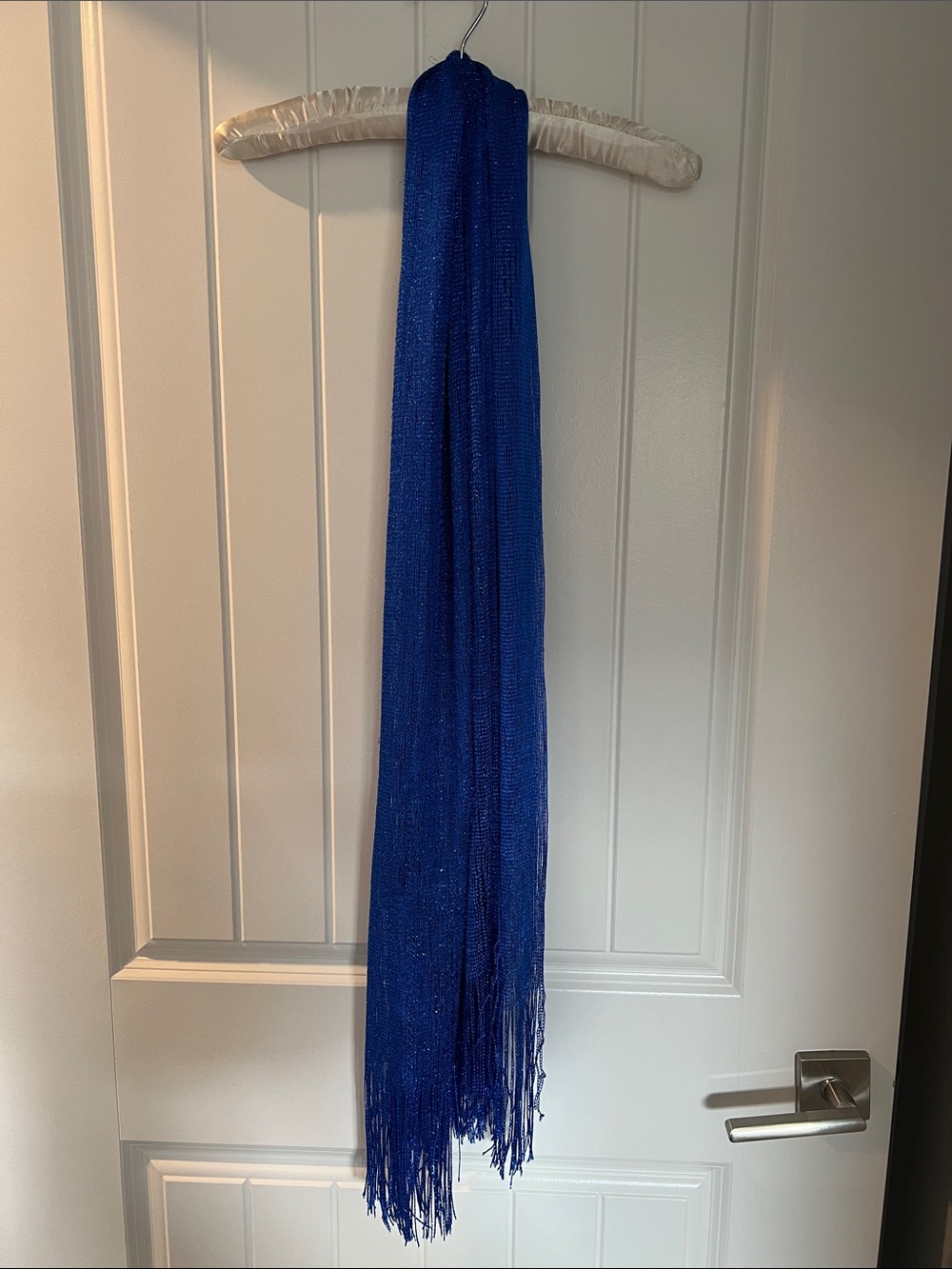 Blue Metallic Fringe Scarf - Women Accessories